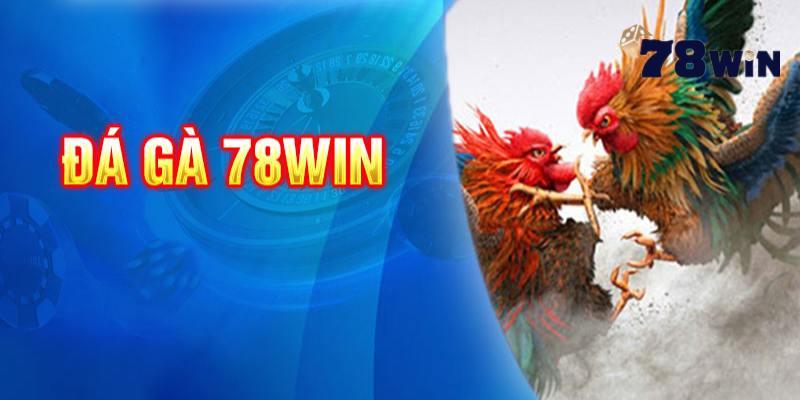 Tìm hiểu thông tin chung về sảnh đá gà 78WIN