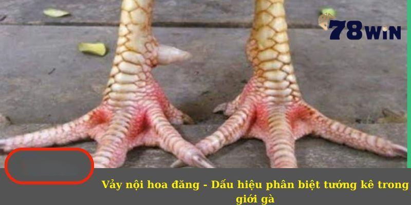 Tìm hiểu thông tin chung về vảy nội hoa đăng