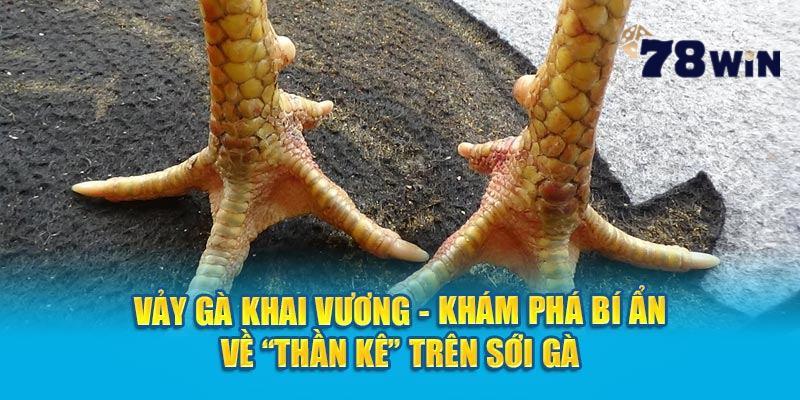 Vảy Khải Vương